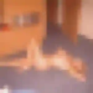 Profil de Sarah à Achicourt (22 ans) - rencontre cougar sans inscription
