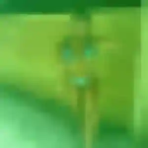 Photo perso de Idalina, 39 ans à Ambès - plan discret