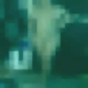 Photo privée de Vicky, 24 ans à Amnéville - rencontre sans lendemain