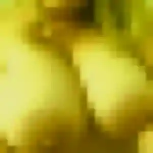 Camille, 34 ans, en ligne à Anglet pour un rencontre cougar