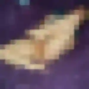 Edith de Anould, 26 ans - rencontre cougar sans lendemain