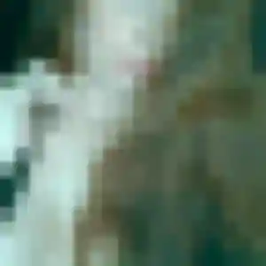 Agnes, 43 ans, veut un rencontre cougar à Bohars