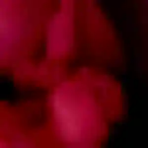 Rejoins Lina, 22 ans à Bourbourg en privé