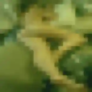 Charline de Bourg-des-Comptes, 30 ans - rencontre cougar en toute liberté