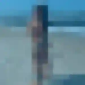 Photo de Jacqueline à Bourg-des-Comptes (30 ans) - rencontre cougar anonyme