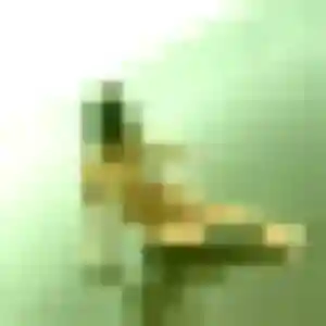 Gaelle, 43 ans, dispo pour rencontre cougar à Brebières