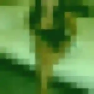 Profil de Jennifer à Brech (34 ans) - rencontre cougar sans inscription