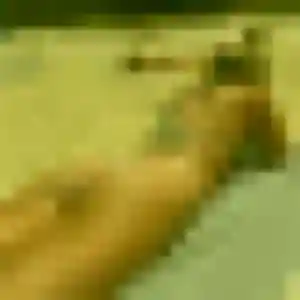 Rosemarie, 23 ans, dispo pour rencontre cougar à Brech