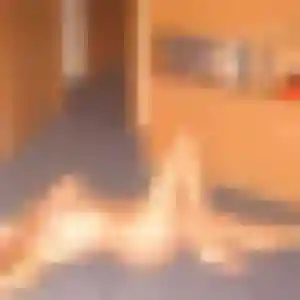 Contacte Marie-Ange, 33 ans à Breuil-le-Vert en privé