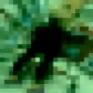 Albertine, 31 ans, connectée à Brionne pour un rencontre cougar
