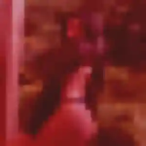 Bernadette, 45 ans, disponible à Bruay-la-Buissière pour une rencontre coquine