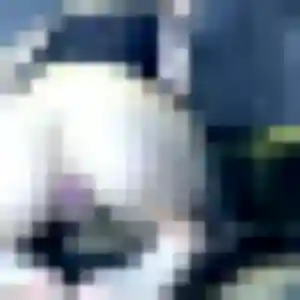 Emeraude, femme de 31 ans cherche rencontre cougar à Bruges