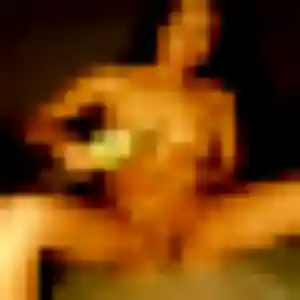 Constance, 23 ans, disponible à Buchelay pour un rencontre cougar