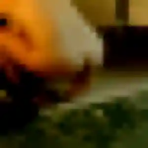 Brunehilde, 38 ans, dispo pour rencontre cougar à Castelnau-de-Médoc