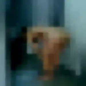 Patricia, 29 ans, en ligne à Chéreng pour un rencontre cougar