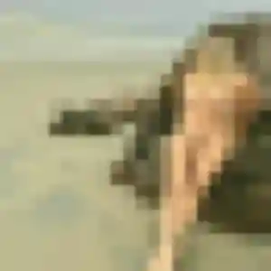 Photo perso de Brigitte, 40 ans à Choisy-au-Bac - plan discret