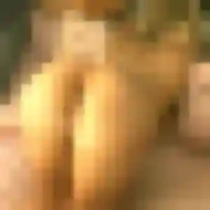 Delphine (39 ans) à Dompierre-sur-Yon attend une rencontre aujourd'hui