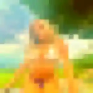 Photo perso de Lisette, 20 ans à Esvres - rencontre coquine