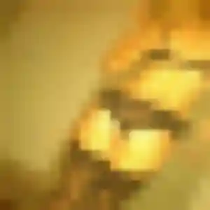 Josephine, 38 ans, en ligne à Évellys pour une rencontre coquine