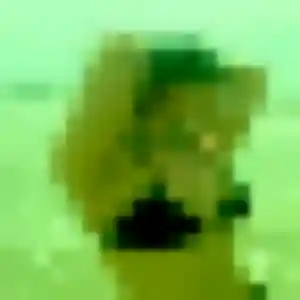 Aisha (44 ans) à Eysines cherche un rencontre cougar ce soir