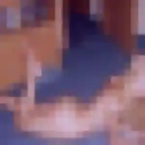 Cindy (27 ans) à Flines-lez-Raches attend un rencontre cougar rapidement