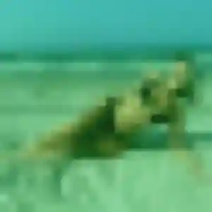 Profil de Azalee à Friville-Escarbotin (41 ans) - rencontre cougar sans inscription