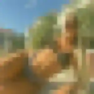 rencontre cougar à Frossay : photo de Josephine, 19 ans - accès libre