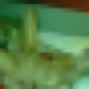 Anne-Marie, 41 ans, cherche un rencontre cougar à Gambsheim