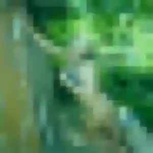 Irene, femme de 22 ans propose rencontre cougar à Gondecourt