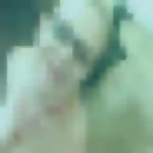 Gaia, fille de 26 ans cherche rencontre cougar à Gouffern en Auge