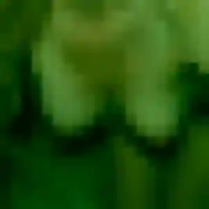 Profil de Ines à Guignes (30 ans) - rencontre cougar sans inscription