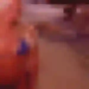 Charmante Virginie, 20 ans à Honfleur - voir sa photo