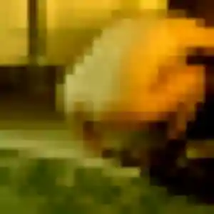 Marie-Line, 34 ans, connectée à Jargeau pour une rencontre coquine