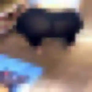 Emma (29 ans) à L'Isle-d'Espagnac cherche une rencontre aujourd'hui