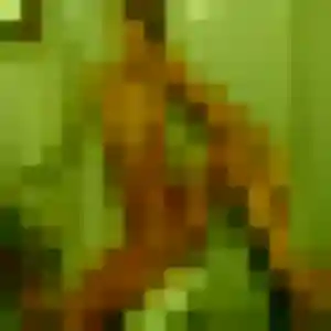 Photo de Delice à La Chaussée-Saint-Victor (32 ans) - rencontre cougar discret