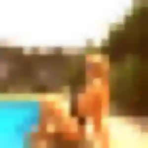 Photo de Ambre à Le Boupère (42 ans) - rencontre cougar anonyme