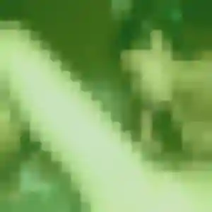 Flore, femme de 32 ans cherche rencontre cougar à Le Bouscat
