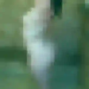 rencontre cougar à Le Fenouiller : photo de Josiane, 33 ans - accès libre