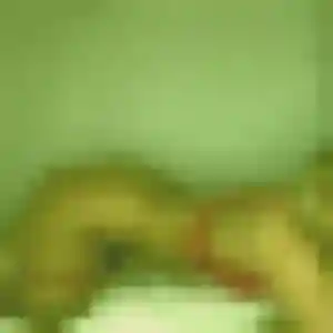 Amandine, 25 ans, disponible à Le Quesnoy pour une rencontre coquine