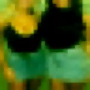 Photo sexy de Therese, 26 ans à Locmaria-Plouzané - rencontre sans lendemain