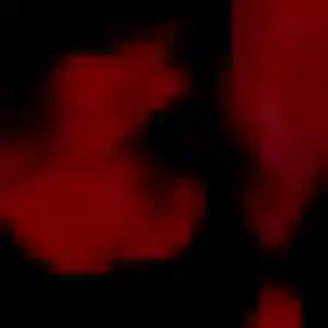 Sexy Dana, 44 ans à Locoal-Mendon - la contacter