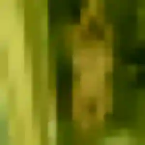 Oumaima de Loudéac, 22 ans - rencontre cougar sans prise de tête