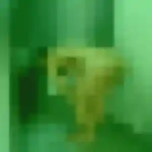 Noemie, 31 ans, connectée à Luisant pour une rencontre coquine