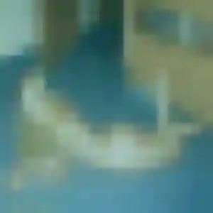Sibylle, 27 ans, dispo pour rencontre cougar à Marckolsheim