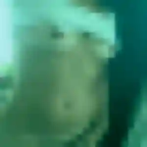 Photo privée de Sylvie, 43 ans à Merville - plan discret