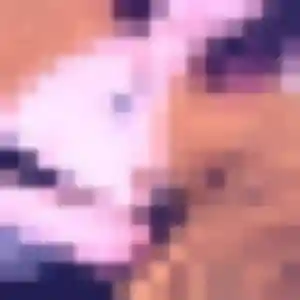Profil de Malika à Mésanger (45 ans) - rencontre cougar sans inscription