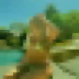 Elise (39 ans) à Mios cherche un rencontre cougar maintenant