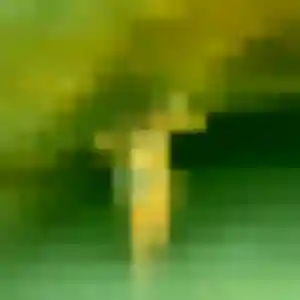 Photo privée de Sylviane, 38 ans à Monts - plan discret