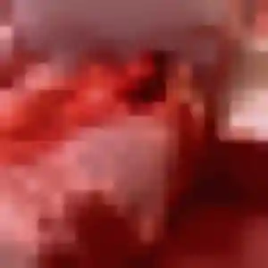 Romina de Morannes sur Sarthe-Daumeray, 28 ans - rencontre cougar sans prise de tête