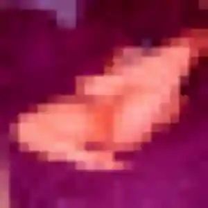 Jocelyne, fille de 19 ans cherche rencontre cougar à Neuvic
